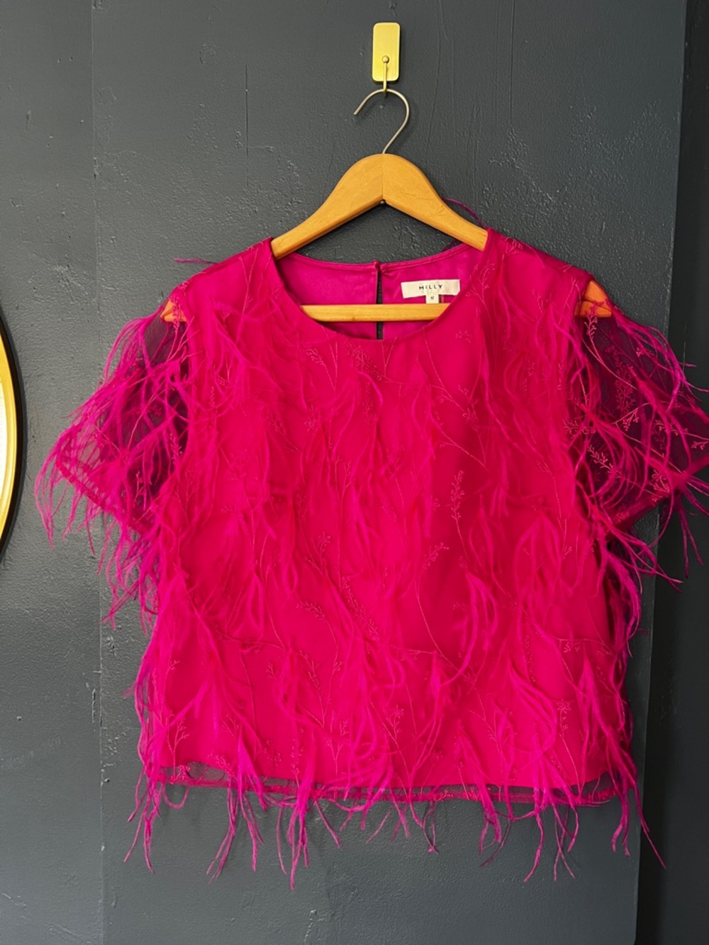 Milly Fuchsia Feather Embellished Short Sleeve Rava Top
